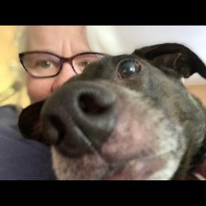 Meet your Posher, Maureen